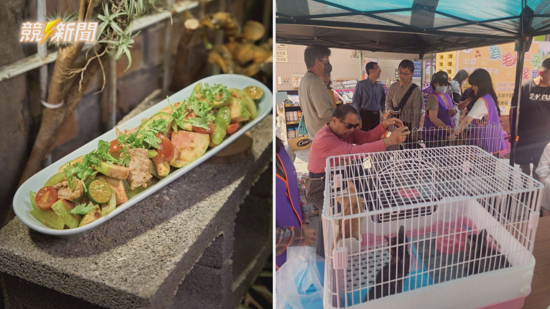 【地方】神農市集喵皇「植」民計畫 毛孩友善攤位與在地農產熱鬧登場