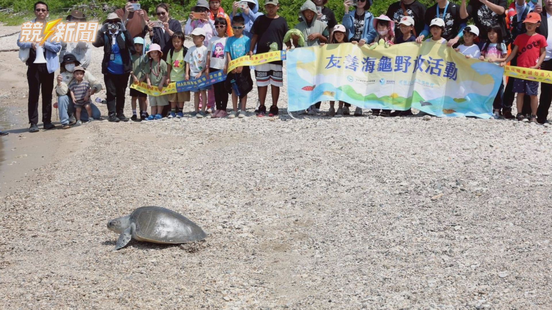 【環境】屏東後灣野放兩隻欖蠵龜 海保署完成第118、119隻海龜重返海洋