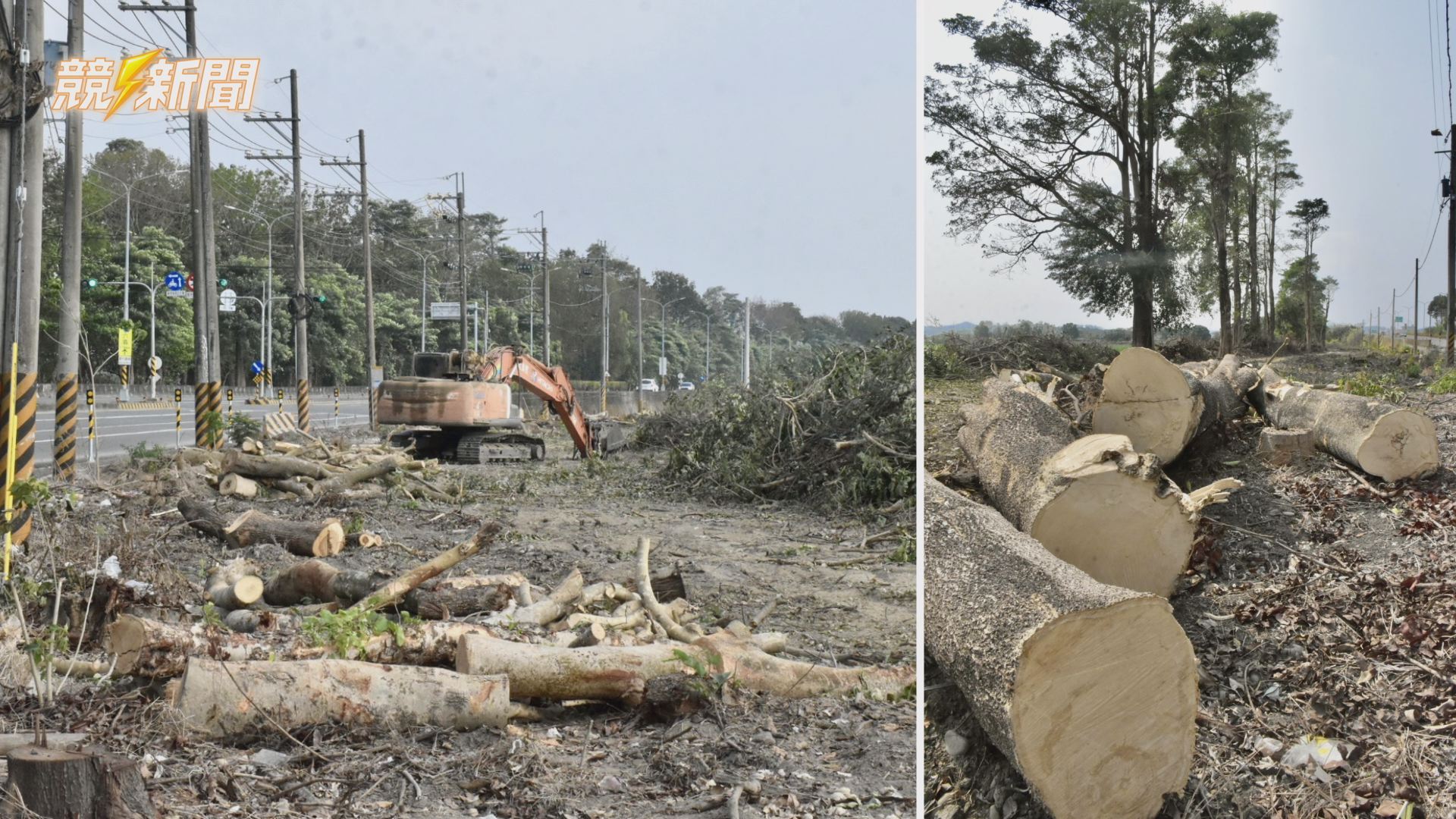 【環境】旗山台3線綠廊突遭砍除 邱議瑩要求台糖立即停工說明