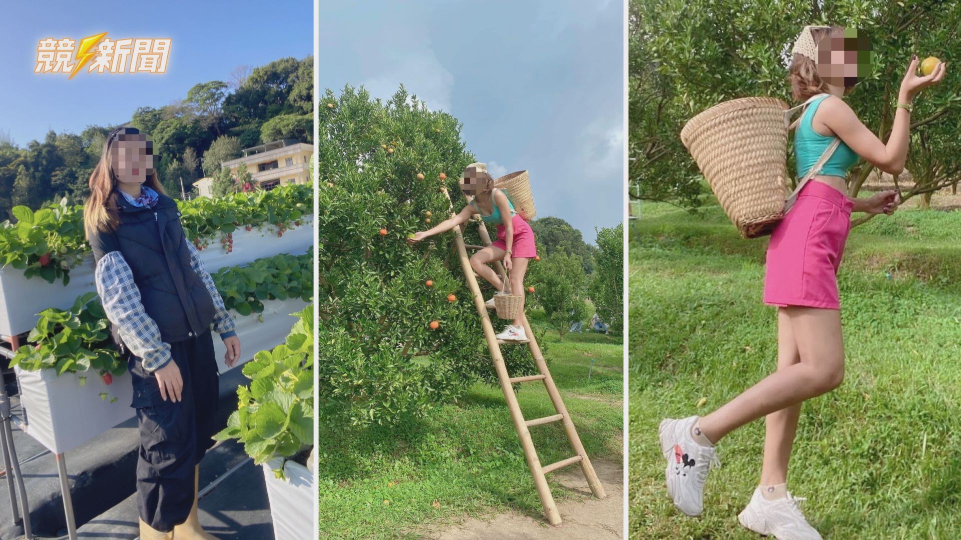 【社會】假農場打工真剝削 泰籍移工賣地來台陷苗栗血汗草莓園