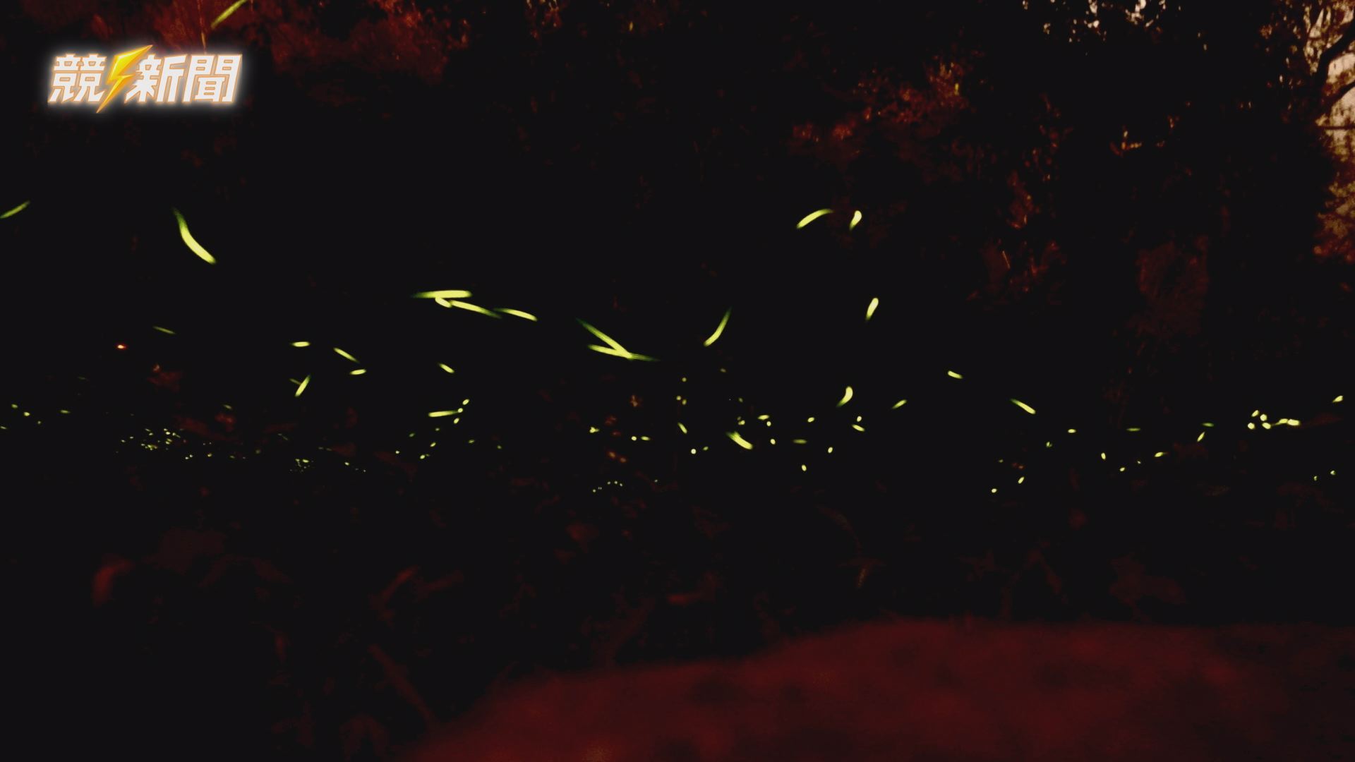 【旅遊】那瑪夏賞螢季迎週末人潮 螢火蟲、水蜜桃與漂漂河打造春季山林玩法