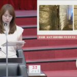 【政治】高雄公共設施修繕卡關？許采蓁質疑半年無進展 工務局承諾限期改善