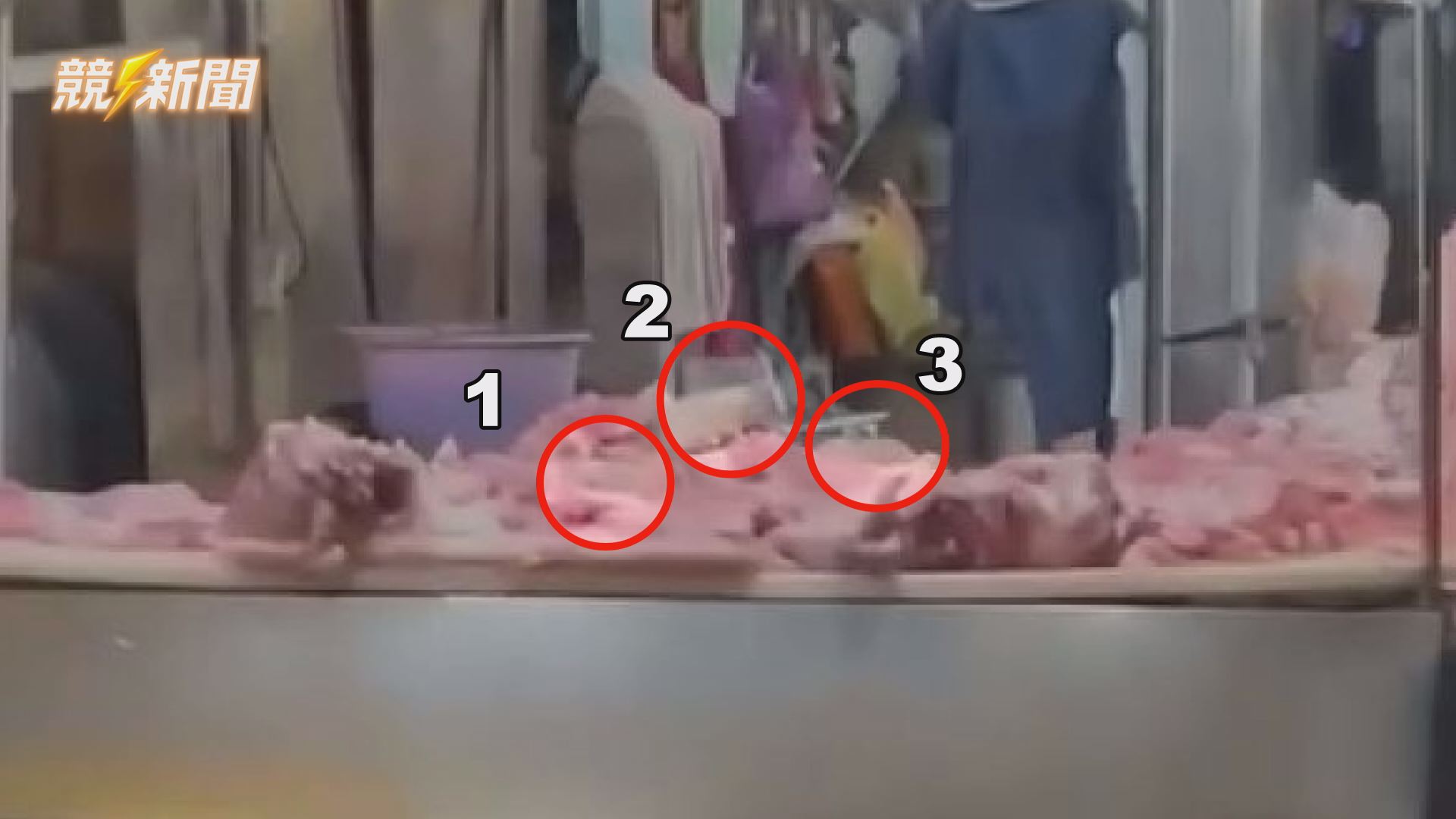 【衛生】鳳山市場驚見老鼠啃肉！攤商衛生失守遭稽查 限期改善否則重罰