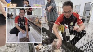 【地方】國際寵物日推動新政 林智鴻促成「樂陪犬」計畫鳳山先行