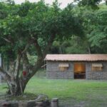 【建設】屏東牡丹鄉四林社區獵人屋低碳翻新 展現排灣文化榮獲2026建築園冶獎