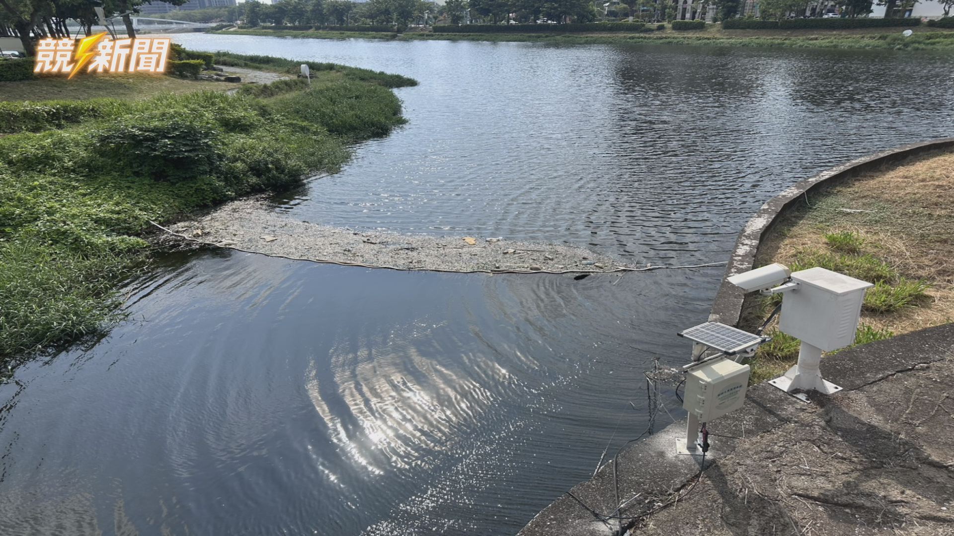 【生活】高雄後勁溪降雨後再現死魚 環保局啟動應變稽查開罰5餐飲業者
