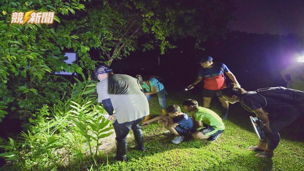 屏東團隊夜間草叢燈光監測蛙類