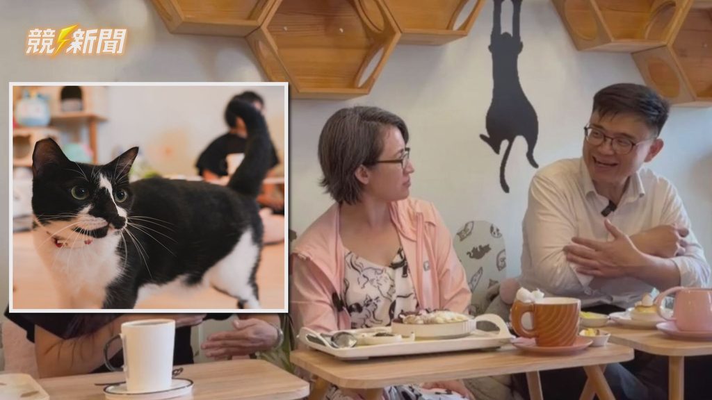 高雄前鎮中途救援黑貓與貓奴日常對話