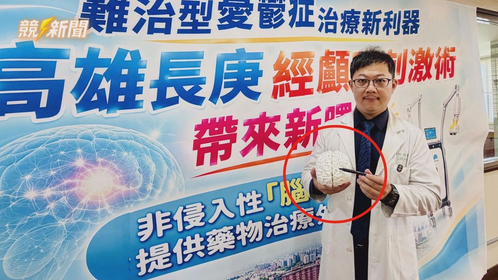 高雄長庚醫師展示大腦模型與磁刺激位置