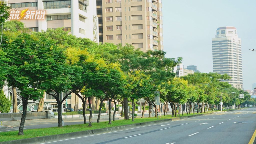 高雄民權路行道樹花開景觀